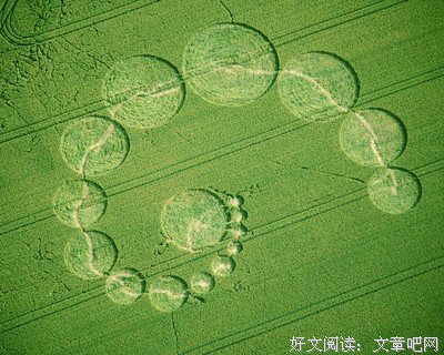 最新的《小小麦田》经典的句子