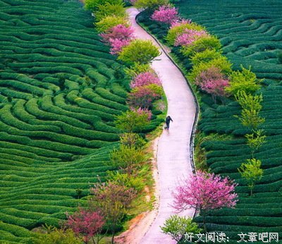 这个笑话据说排名世界第一