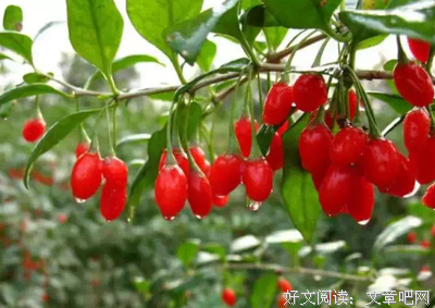 给你送过这三样东西，那他绝对是爱上你了