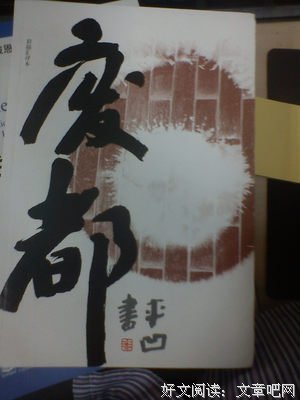 雷达：评《废都》