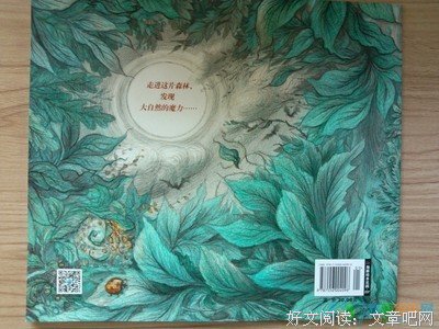 我为你洒下月光经典读后感10篇