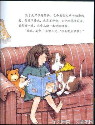 一只狼在放哨读后感10篇