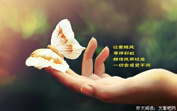 关于随风潜入夜的座右铭