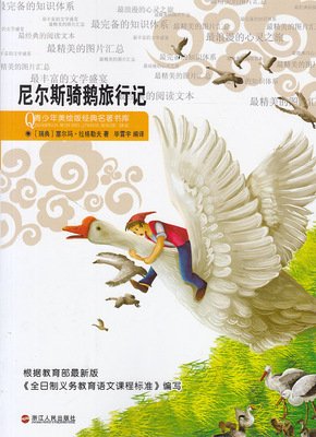最全的《〈旅行记〉》经典的句子