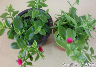 “我一个月赚4000，花三千块买口红怎么了”