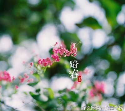 《清明风景》