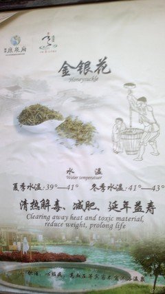 《格林 第六季》经典观后感10篇
