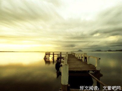 最经典的蓝蝴蝶zy经典名句