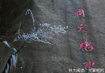楚人的句子