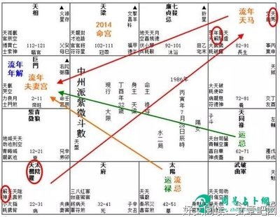 紫微占卜：4月你必定会迎来的惊喜