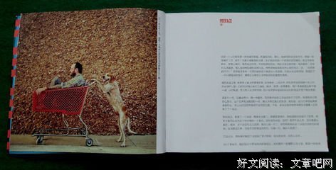 劈你的雷正在路上读后感10篇