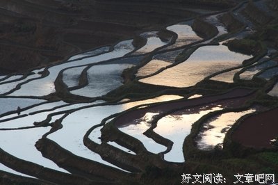 北大博士后骗妻假离婚：婚姻中的这些潜规则，你需要明白