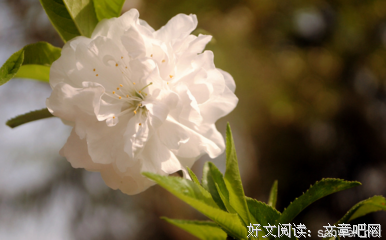 关于安于现状的语句