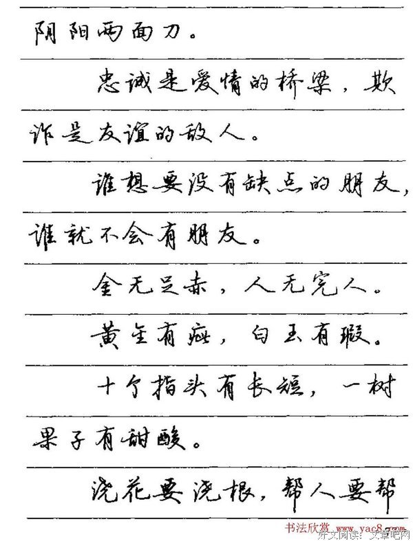 最新的谚语名句欣赏