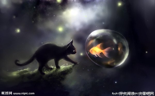 关于黑猫的语句