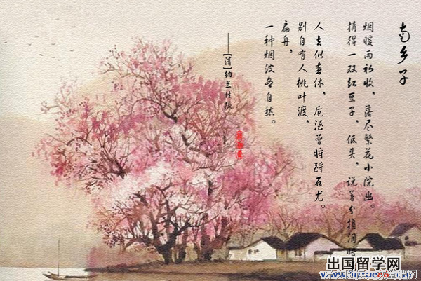 最新的《坏家伙们》经典句子大全