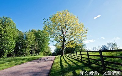 关于晴空万里的唯美语录