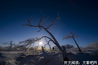 历练生命的胆识