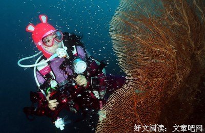 描写蒋胜男的经典句子