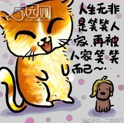最全的猫语猫寻经典名句