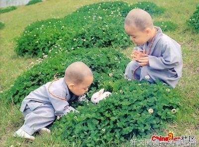 关于子我的格言