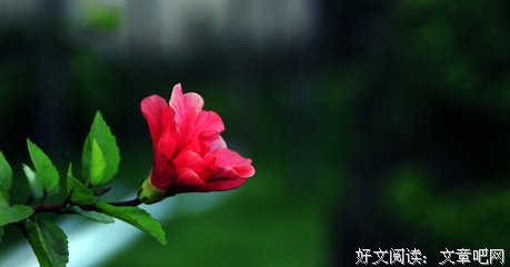 随思
