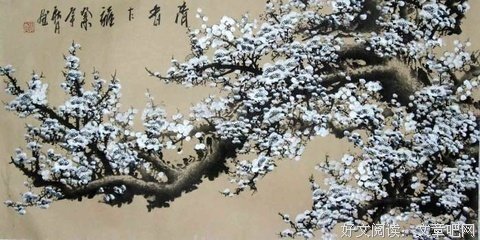最新的《贝壳》语录摘抄大全