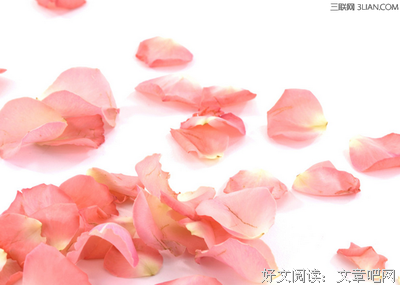 为学日益，为道日损