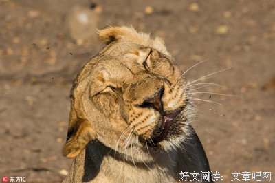 “我们是逼死了人，可你也不该出来揭露呀！”