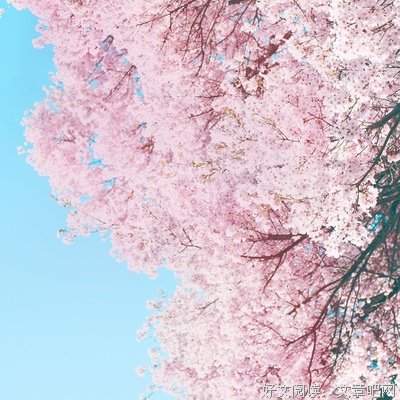 《小森林》观后感10篇