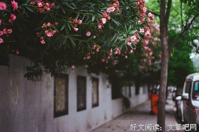 上帝的手术刀读后感10篇