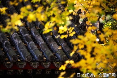 一人军团读后感10篇