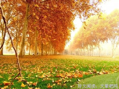 最经典的《善待命运》好段摘抄