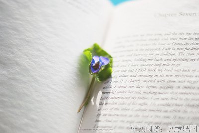最全的《个性网》经典句子