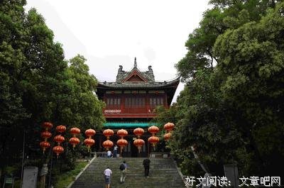 最新的《梧桐那么伤》佳句摘抄大全
