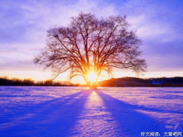 喵星虫子君15句经典名言