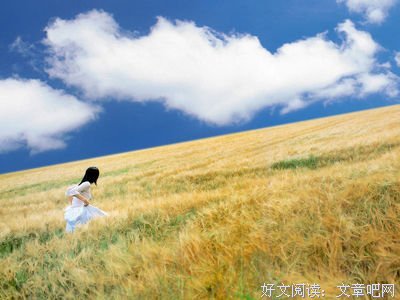 最全的乐小米15句经典名言