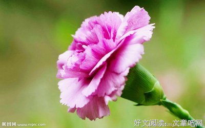 最经典的《我与世界只差一个你》语录摘抄大全