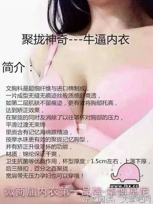 有关基尼的美句摘抄