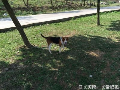 当鸡蛋撞向石墙，你站在哪一边｜单读