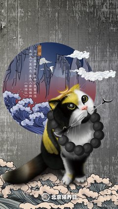 领养 |【4月8日】不会琴棋书画的小女娃