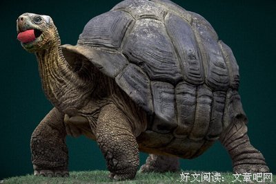 说真的，你打算活到多少岁