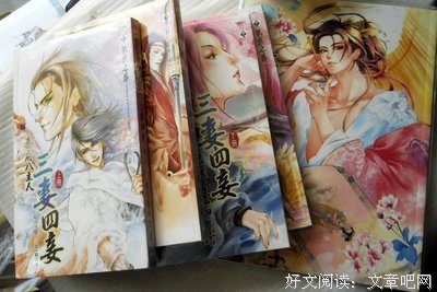 最全的《妾本惊华》小说摘抄大全