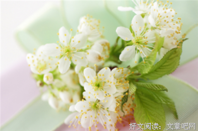 最全的《关于暗恋的句子》好段摘抄