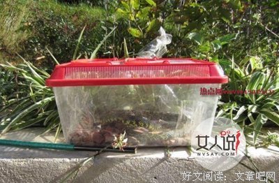 毛骨悚的语句摘抄_关于毛骨悚的语句