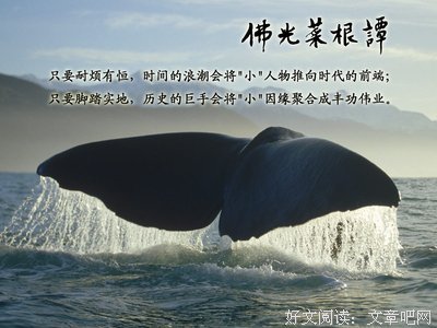 净宗的名言_关于净宗的名言
