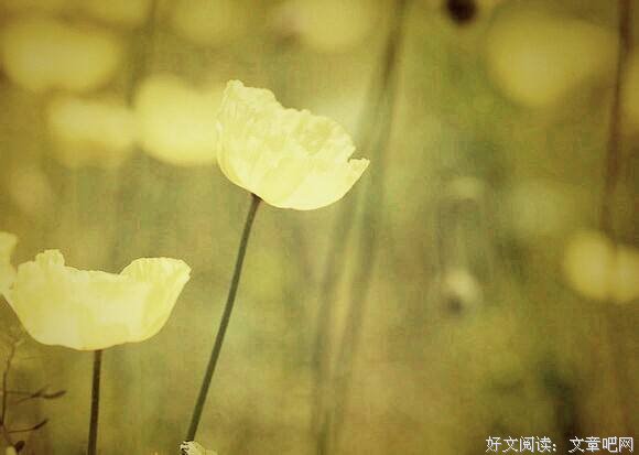 不是所有失去，都是生命的遗憾