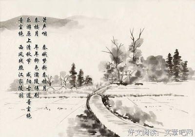 《当且仅当雪是白的》读后感10篇