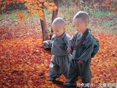 描写慧律的经典句子