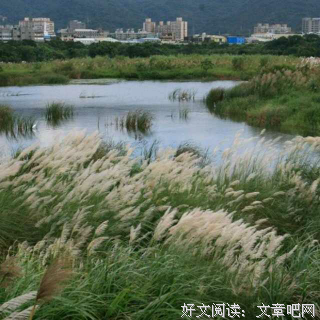 怀念你的方式，是成为更好的自己 | 「为你读诗」